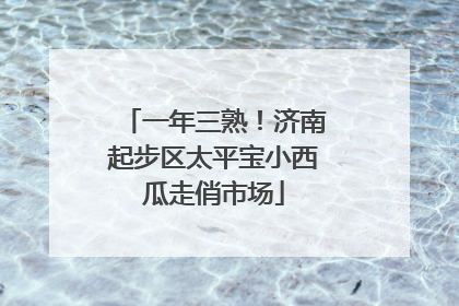 一年三熟！济南起步区太平宝小西瓜走俏市场