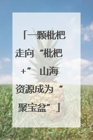 一颗枇杷走向“枇杷+” 山海资源成为“聚宝盆”