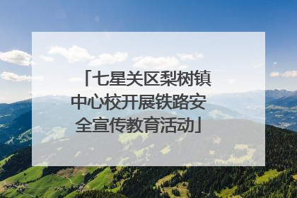 七星关区梨树镇中心校开展铁路安全宣传教育活动
