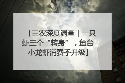三农深度调查｜一只虾三个“转身”，鱼台小龙虾消费季升级