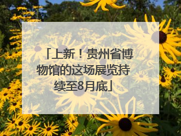 上新！贵州省博物馆的这场展览持续至8月底