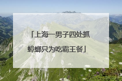 上海一男子四处抓蟑螂只为吃霸王餐
