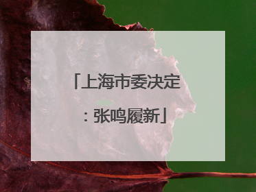 上海市委决定：张鸣履新