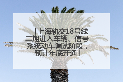 上海轨交18号线二期进入车辆、信号系统动车调试阶段，预计年底开通