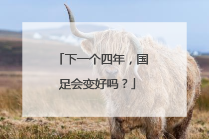 下一个四年，国足会变好吗？