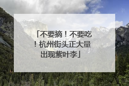 不要摘！不要吃！杭州街头正大量出现紫叶李