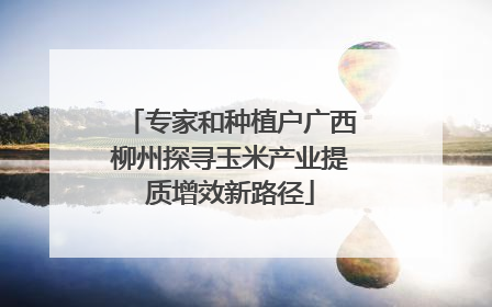 专家和种植户广西柳州探寻玉米产业提质增效新路径