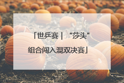 世乒赛｜“莎头”组合闯入混双决赛