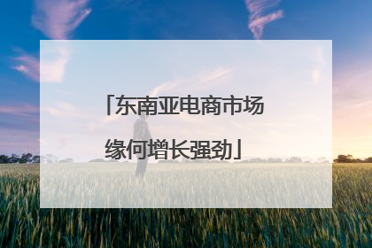 东南亚电商市场缘何增长强劲