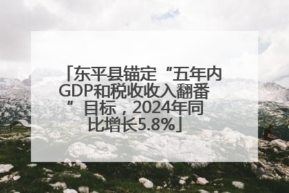 东平县锚定“五年内GDP和税收收入翻番”目标，2024年同比增长5.8%