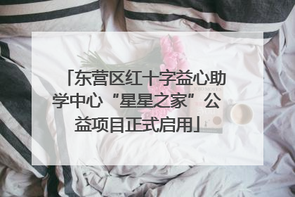 东营区红十字益心助学中心“星星之家”公益项目正式启用