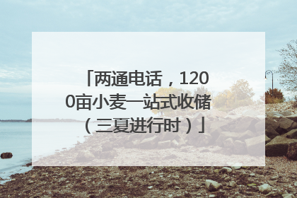两通电话，1200亩小麦一站式收储（三夏进行时）