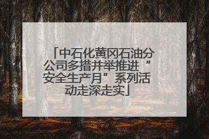 中石化黄冈石油分公司多措并举推进“安全生产月”系列活动走深走实