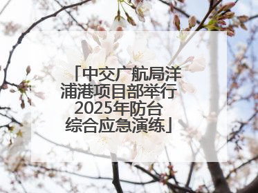 中交广航局洋浦港项目部举行2025年防台综合应急演练