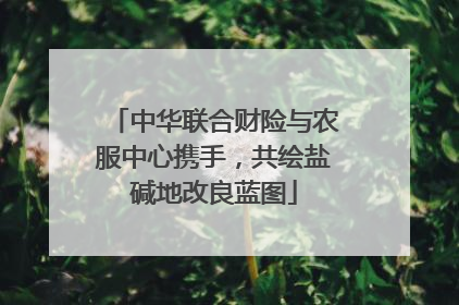 中华联合财险与农服中心携手，共绘盐碱地改良蓝图