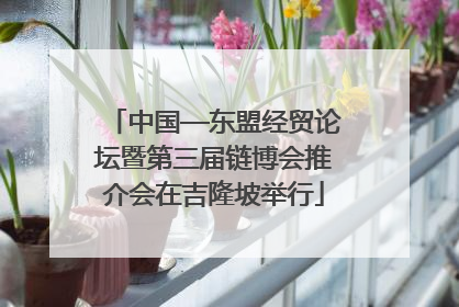 中国—东盟经贸论坛暨第三届链博会推介会在吉隆坡举行