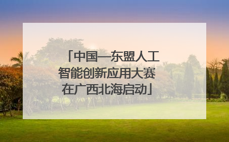 中国—东盟人工智能创新应用大赛在广西北海启动