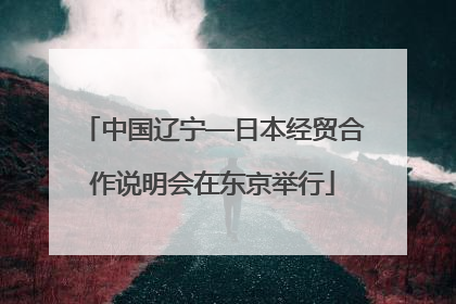 中国辽宁—日本经贸合作说明会在东京举行