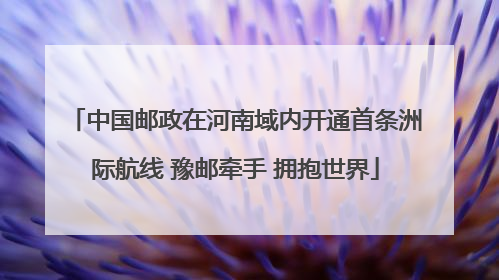 中国邮政在河南域内开通首条洲际航线 豫邮牵手 拥抱世界