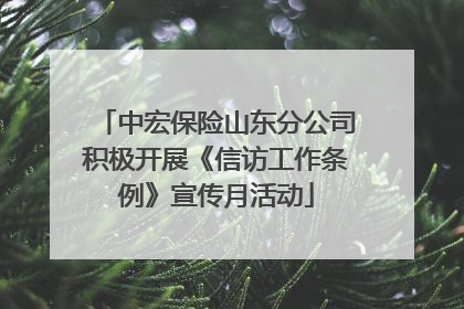 中宏保险山东分公司积极开展《信访工作条例》宣传月活动