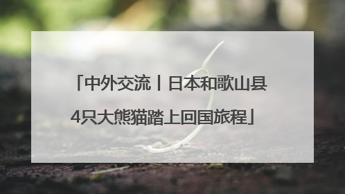 中外交流丨日本和歌山县4只大熊猫踏上回国旅程
