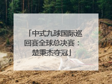 中式九球国际巡回赛全球总决赛：楚秉杰夺冠