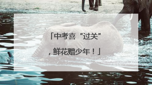 中考喜“过关”，鲜花赠少年！