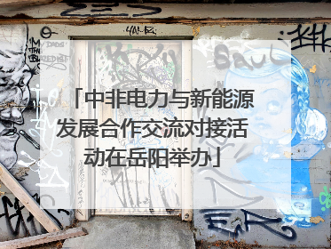 中非电力与新能源发展合作交流对接活动在岳阳举办