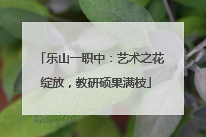 乐山一职中：艺术之花绽放，教研硕果满枝