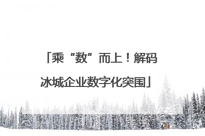 乘“数”而上！解码冰城企业数字化突围