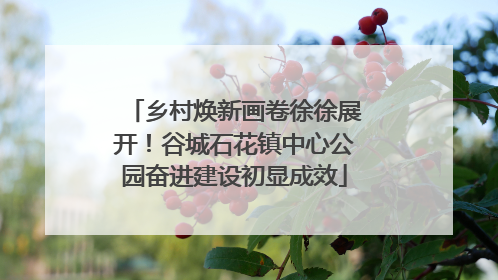 乡村焕新画卷徐徐展开！谷城石花镇中心公园奋进建设初显成效