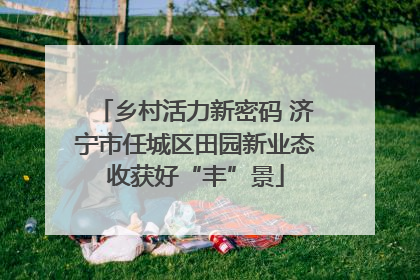 乡村活力新密码 济宁市任城区田园新业态收获好“丰”景