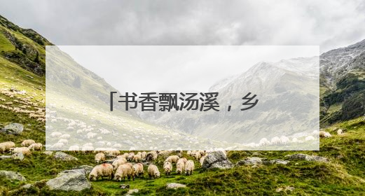 书香飘汤溪，乡村振兴添动力