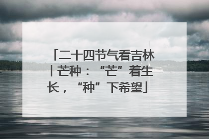 二十四节气看吉林丨芒种：“芒”着生长，“种”下希望