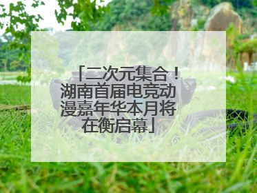 二次元集合！湖南首届电竞动漫嘉年华本月将在衡启幕