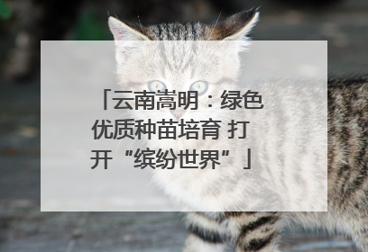 云南嵩明：绿色优质种苗培育 打开“缤纷世界”