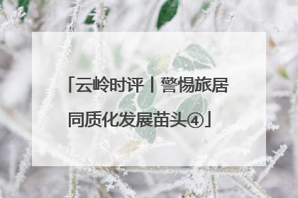 云岭时评丨警惕旅居同质化发展苗头④