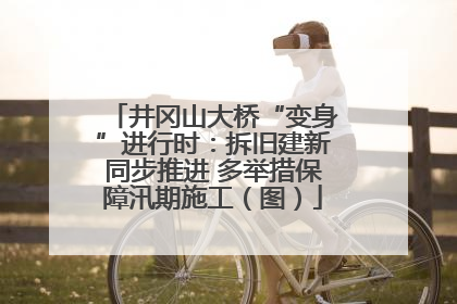 井冈山大桥“变身”进行时：拆旧建新同步推进 多举措保障汛期施工（图）