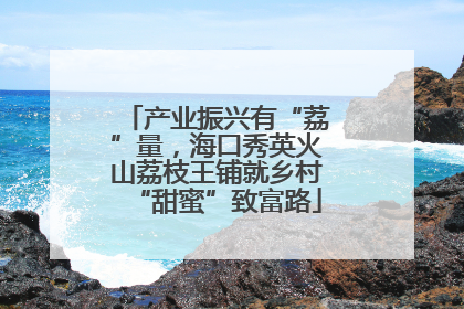 产业振兴有“荔”量，海口秀英火山荔枝王铺就乡村“甜蜜”致富路