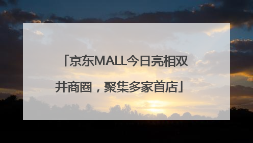 京东MALL今日亮相双井商圈，聚集多家首店