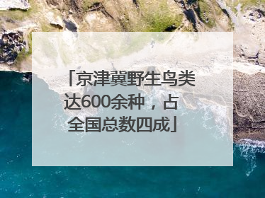 京津冀野生鸟类达600余种，占全国总数四成
