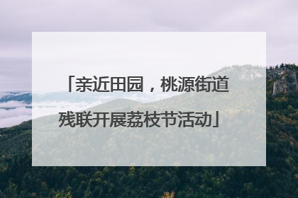 亲近田园，桃源街道残联开展荔枝节活动