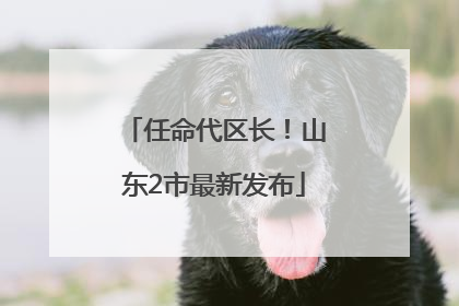 任命代区长！山东2市最新发布
