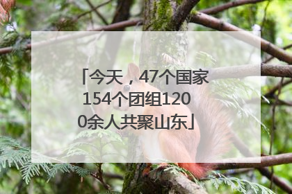 今天，47个国家154个团组1200余人共聚山东
