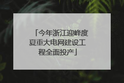 今年浙江迎峰度夏重大电网建设工程全面投产