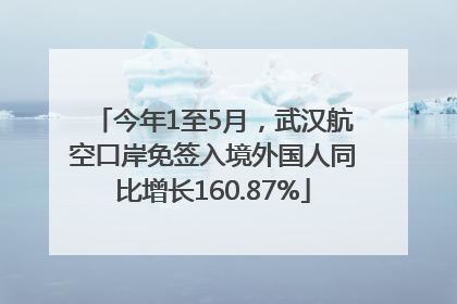 今年1至5月，武汉航空口岸免签入境外国人同比增长160.87%