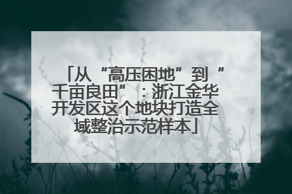 从“高压困地”到“千亩良田”：浙江金华开发区这个地块打造全域整治示范样本