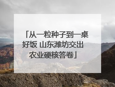 从一粒种子到一桌好饭 山东潍坊交出农业硬核答卷