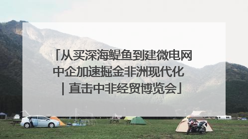 从买深海鳀鱼到建微电网 中企加速掘金非洲现代化｜直击中非经贸博览会