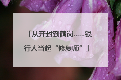 从开封到鹤岗……银行人当起“修复师”